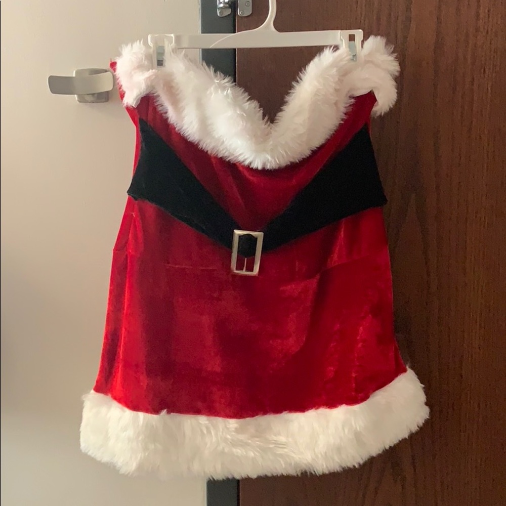 Sexy Santa Costume